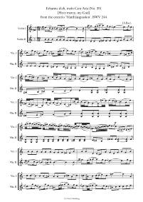 Bodunov_Masterly-Violin-Duets_DV_Pagina_3