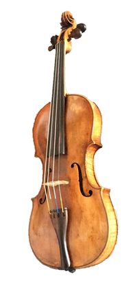 violin 6